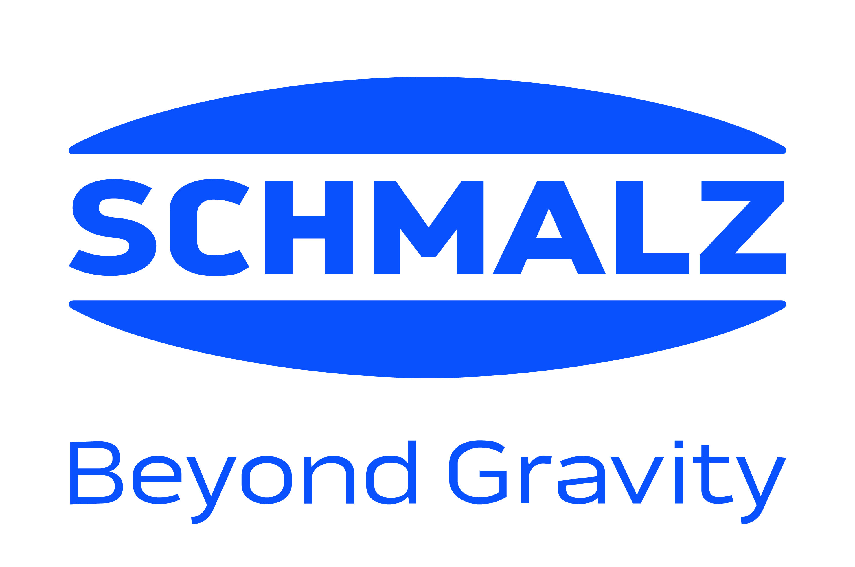 シュマルツ株式会社