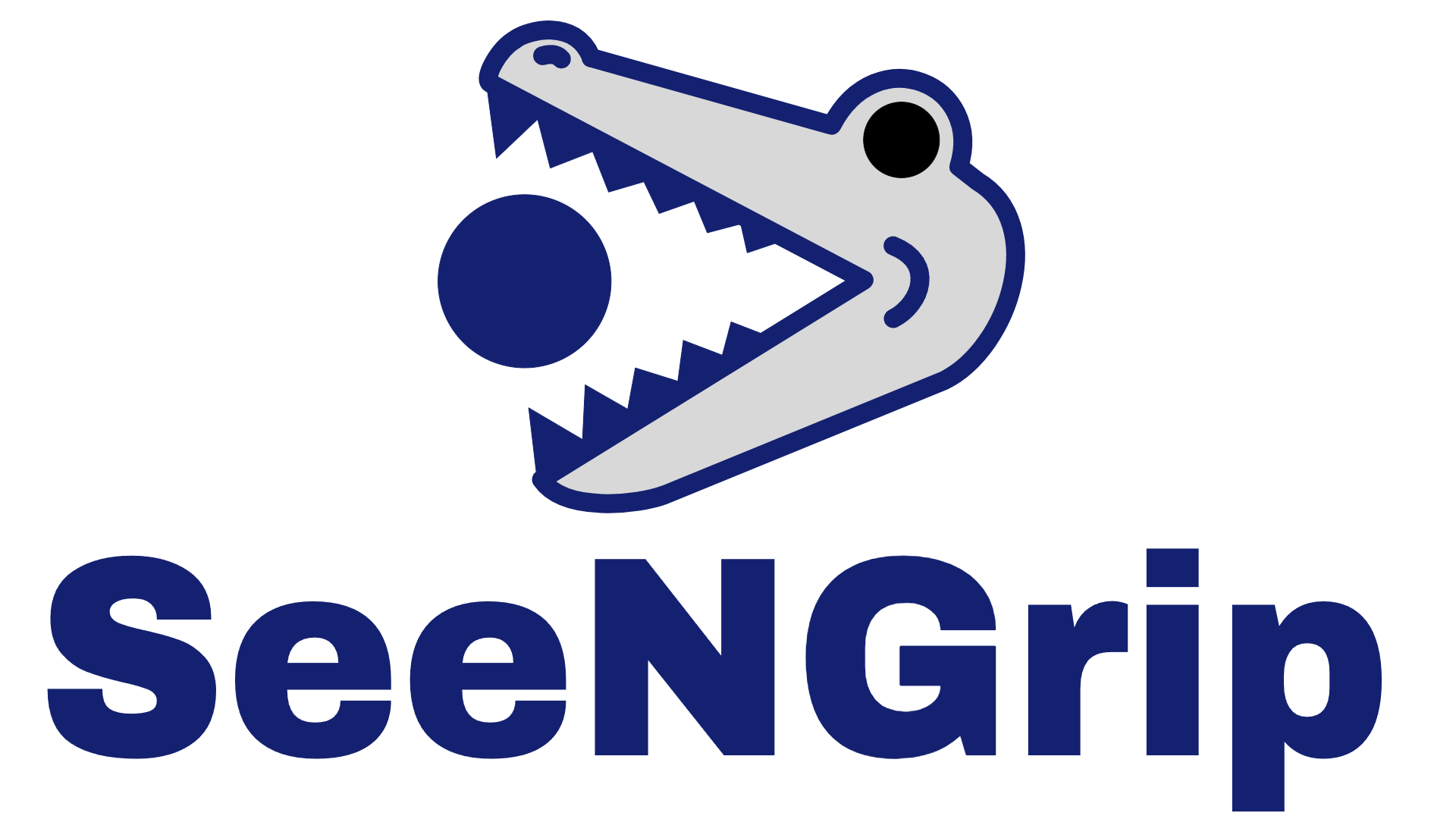SeeNGrip Inc.